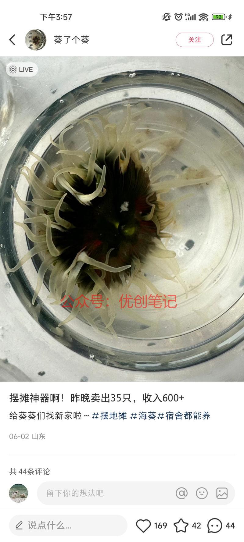 最近卖海葵水母之类的小…#情报-搞钱线报📢论坛-网创交流-优创圈